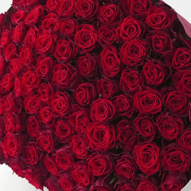 赤いバラ108本の花束